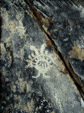 Stansbury Island Petroglyphs