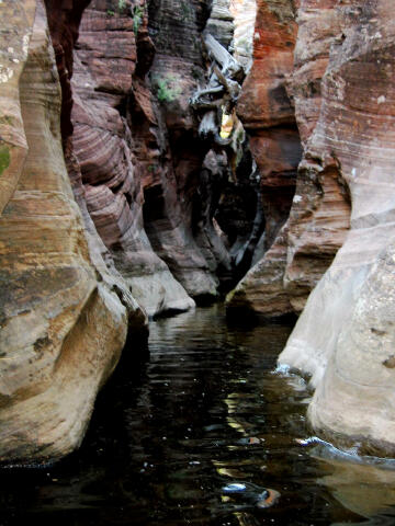 Das Boot - Zion National Park