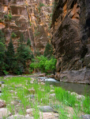 Deep Creek - Zion National Park