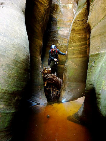 Heaps Canyon - Zion National Park