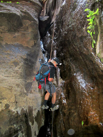 Rappeling into Mystery Springs in Zion National Park