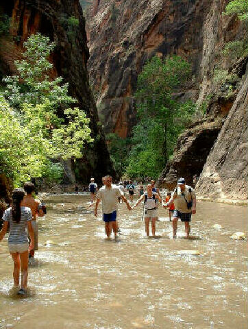 The Lower Narrows is the most popular hike in the park.