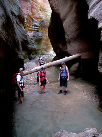 Orderville Gulch in Zion National Park