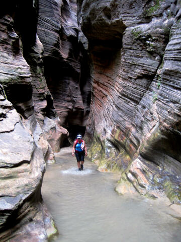Orderville Gulch in Zion National Park