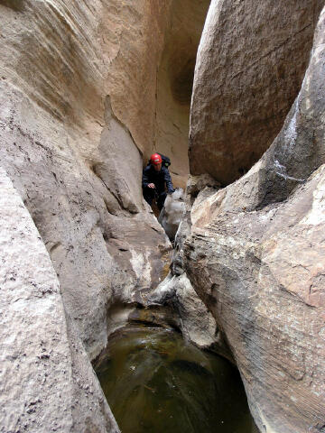 Bo Beck climbing over snow and heading for a pool of water.