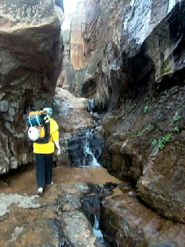 Water Canyon - Zion National Park